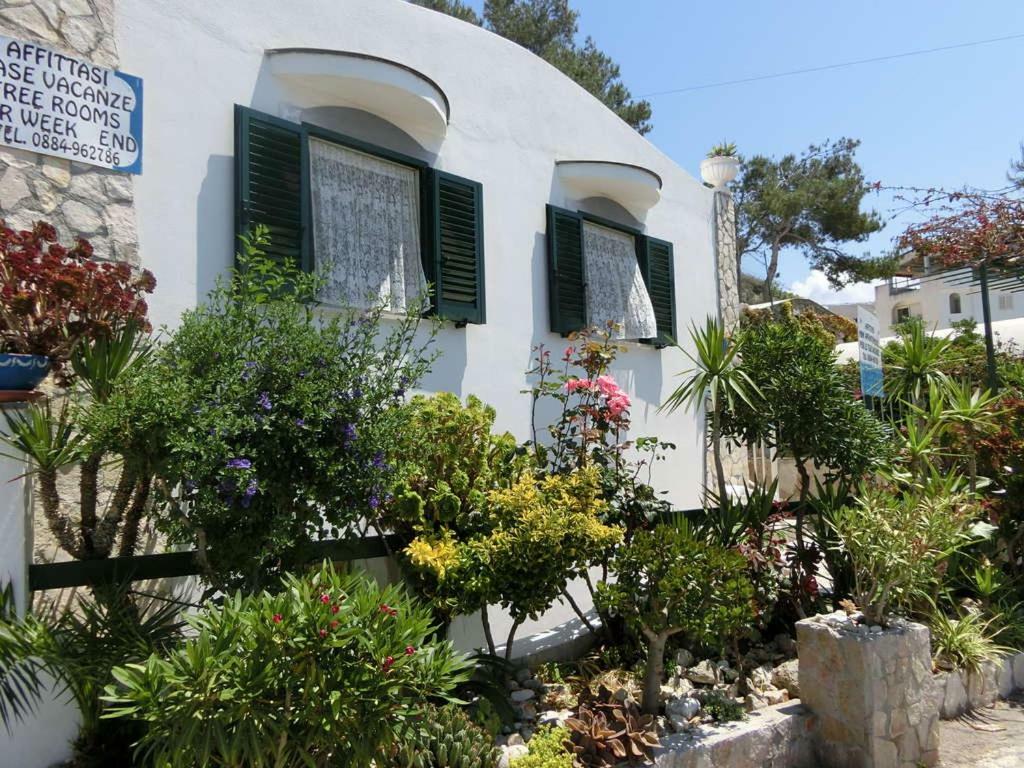 Blu Marine Casa A 10Mt Dalla Spiaggia ペスキチ エクステリア 写真
