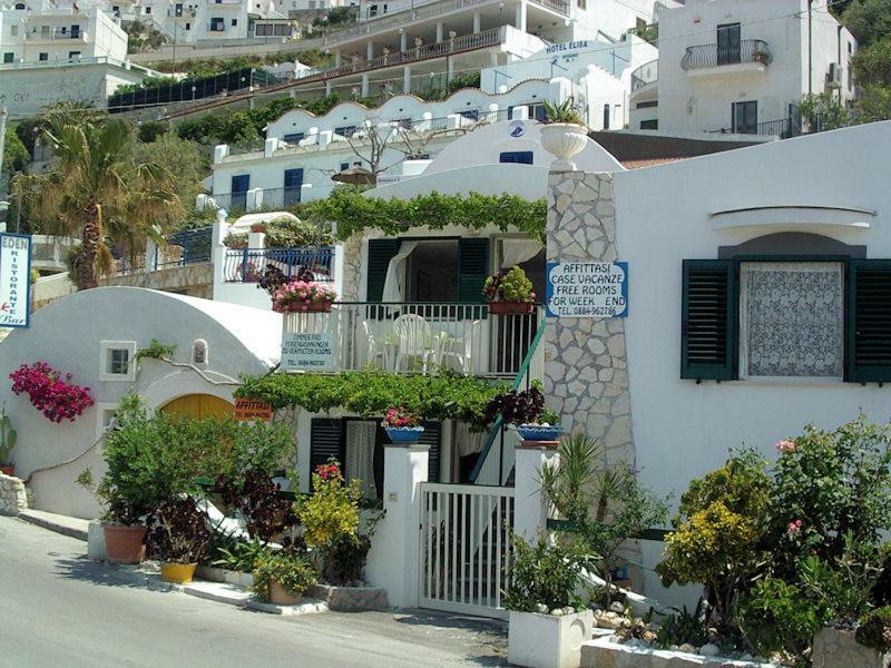 Blu Marine Casa A 10Mt Dalla Spiaggia ペスキチ エクステリア 写真